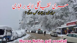 #murree snowfall update | murree live today | nathia gali snowfall | #murreeweather #2025