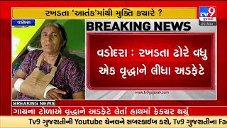 Elderly woman faces severe injury after stray cattle attack in Vadodara |Gujarat |TV9GujaratiNews