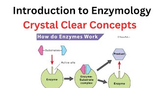 General Concept of Enzymes and Protein purification #seo