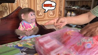 Sorry 😒 Monkey David secretly stole Grandma's jelly