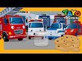 Who took the cookie from the cookie jar? l Tayo brave cars l Tayo Songs for Children