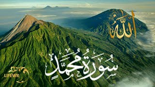 Surah Muhammad سورة محمد| World Most beautiful recitation @OmarHishamAlArabi