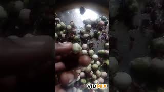 Maisoor spinach seed (velicheera) thoran vechu kazhichittundo....rare video...for u...