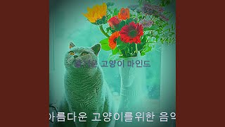 아름다운 장소 기악