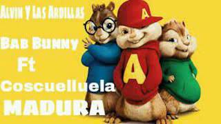 Alvin Y Las Ardillas - Bab Bunny Ft Coscuelluela MADURA [Audio Official]