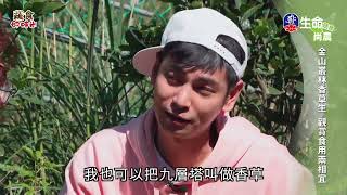 蔬食好時尚-新北小農-寧靜海香草園-1_蔬食好時尚_(lifetv_20231021_11：00)