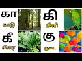 kA varisai Sorkal in Tamil/ க கா கி கீ  | க வரிசை செற்கள @parpompadipom