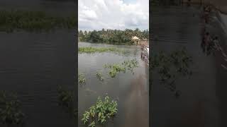 Vasudevara anekattu Near Bochihalli