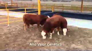 Video Institucional del Centro de Producción Agropecuaria