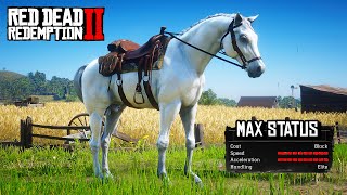 All 5 Rare Arabian Horse Location \u0026 Rankings - RDR2