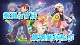 【シンオウ図鑑完成】厳選と育成と、時々バトルタワー【ポケモンBDSP】