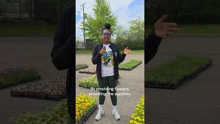 Motor City Makeover | Bedrock Volunteering Event