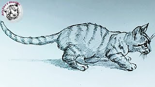 Dibuja un Gato que Cobrará Vida, ¡Sorprende a Todos con este Increíble Método!