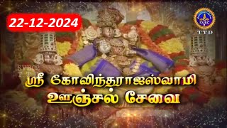 Sri Govindarajaswamy vari || Unjal Seva || Tirupati || SVBC2 Tamil || 22-12-2024 || SVBC TTD