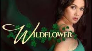 Wildflower Teaser August 30, 2017