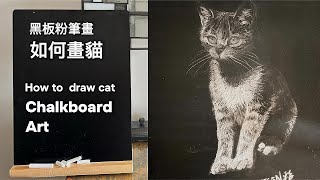 【示範】黑板粉筆畫動物｜寫實素描｜如何畫猫