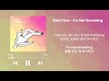 말해줘 꿈을 꾸는 게 아니라고💞 │자꾸 맴도는 사랑 노래│ Gold Flow - I'm Not Dreaming [가사/해석/lyrics]