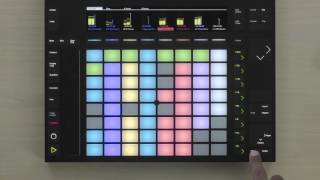 Learn Push 2: Session View