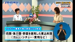 行政ナビ「防ごう！夏の食中毒」（手話付き放送）