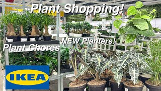 IKEA's Exciting New Planters 2025 | What Plants I Placed in the Kitchen | Tackling Plant Chores!