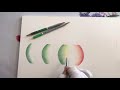 botanical art 보태니컬아트 컬러 그라데이션 연습 방법 how to practice gradation 세밀화