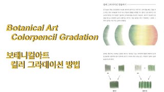 Botanical Art 보태니컬아트 컬러 그라데이션 연습 방법 How to practice gradation 세밀화