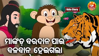 Mankada Baradana Pai Balaban Hela - ମାଙ୍କଡ଼ ବରଦାନ ପାଇ ବଳବାନ ହେଲା | Odia Moral Story | ଓଡ଼ିଆ କାର୍ଟୁନ