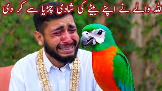 Allah Wale Ne Apne Bete Ki Shadi Ak Chdiya Se Kar Di|Allah Wale|Islamic Moral Story Urdu In/Hindi