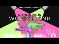 no healing in wonderland taz medley