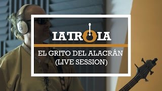 El Grito del Alacrán (Live Session) | La Trola