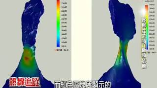 熱線 野柳女王頭 斷頸危機;環境教育 搶救女王頭