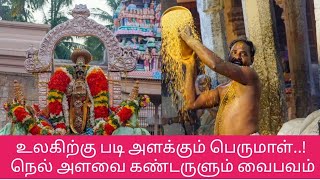 Nel Alavai Srirangam Temple Boopathi Thirunal Utsavam 7th Day |  ஸ்ரீரங்கம் நெல் அளவை வைபவம் |Trichy