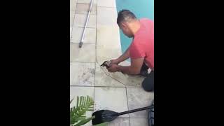 Resuscitation of a bird drowning in the pool Реанимация утонувшей в бассейне птицы