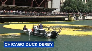 Annual Ducky Derby fundraiser splashes down into Chicago River