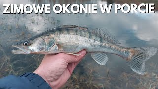 ZIMOWE OKONIE W PORCIE - ŁOWIENIE NA ULTRALIGHT'A W RZECE