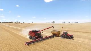 R \u0026 D \u0026 CL Waters Drone Footage Case IH 7240 \u0026 3050 in Wheat (2K FHD)