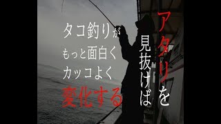 【最盛期！エギタコの神様!！が語る！】明石タコ釣りを簡単に面白く！格好良く！変える！