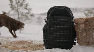 Inside the Guardian Concealed Carry Backpack from Elite Survival Systems