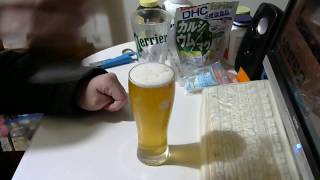 酒好きな元新潟人の飲酒動画　part1616　志賀高原ビール　Indian Summer Saison【クラフトビール】 【生ビール】