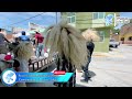 tastoanes de el tuitan… procesión a santo santiago por jalpa zacatecas