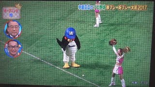 プロ野球 珍プレー2017 あと10cmｗｗｗｗつば九郎が検証ｗｗｗ