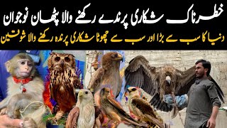 Khatarnak Pathan Shikari ! Wild Hunting Bird's Gid (valture) falcon Owl Crystal Bonali Eagle Monkey