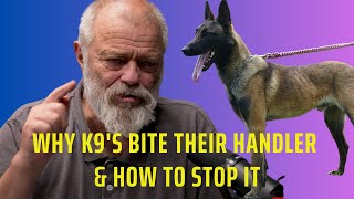 Why K9's Bite Their Handler & How to Stop It