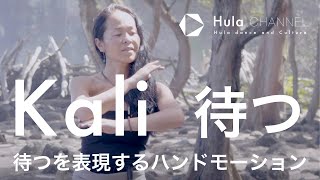 【フラハンドモーション】 Kali (カリ) \