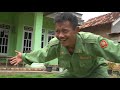 curi ayam🐓ketangkap‼️ exstrim lucu the series funny videos 2022 try not to laugh . kemekel tv