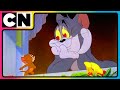 Tom and Jerry 😺🐭| Bachelorate for Toodles! | #compilation | #catandmouse | @cnindia