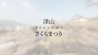 【360度動画】津山の桜を満喫　2019年津山さくらまつり