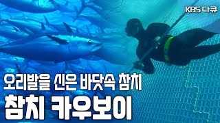 들어보셨나요? 깊은 바다 속에서 참치를 모는 사람! 참치 카우보이!  (KBS 2012 방송)