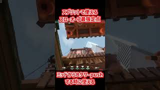 【スプリットセージ】必見最強スローオーブ定点