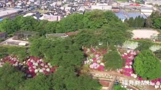 鯖江市・西山公園（ショートバージョン）　福井新聞・空撮